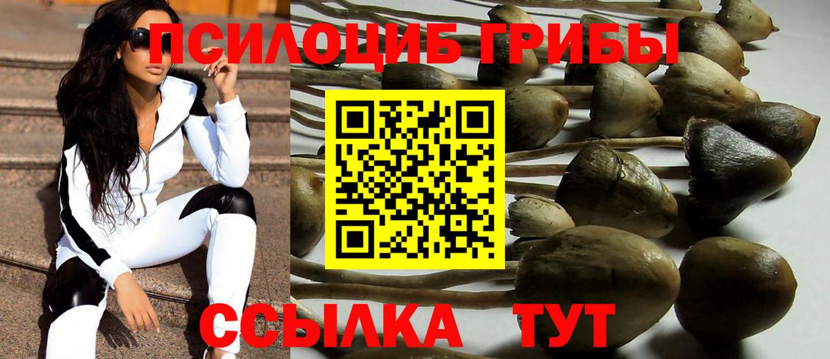 Берёзовский  Галлюциногенные грибы Psilocybine cubensis  Вход с VPN 