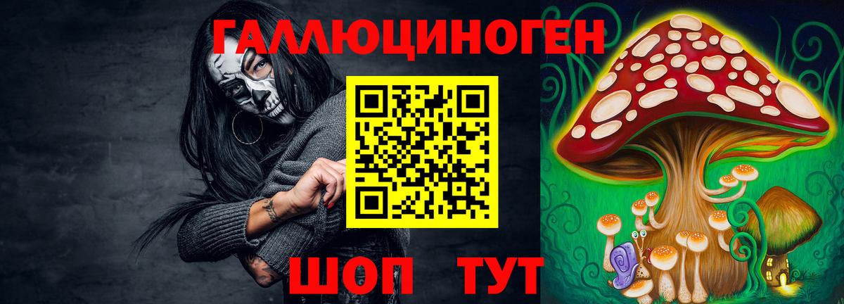 Галлюциногенные грибы мухоморы Берёзовский